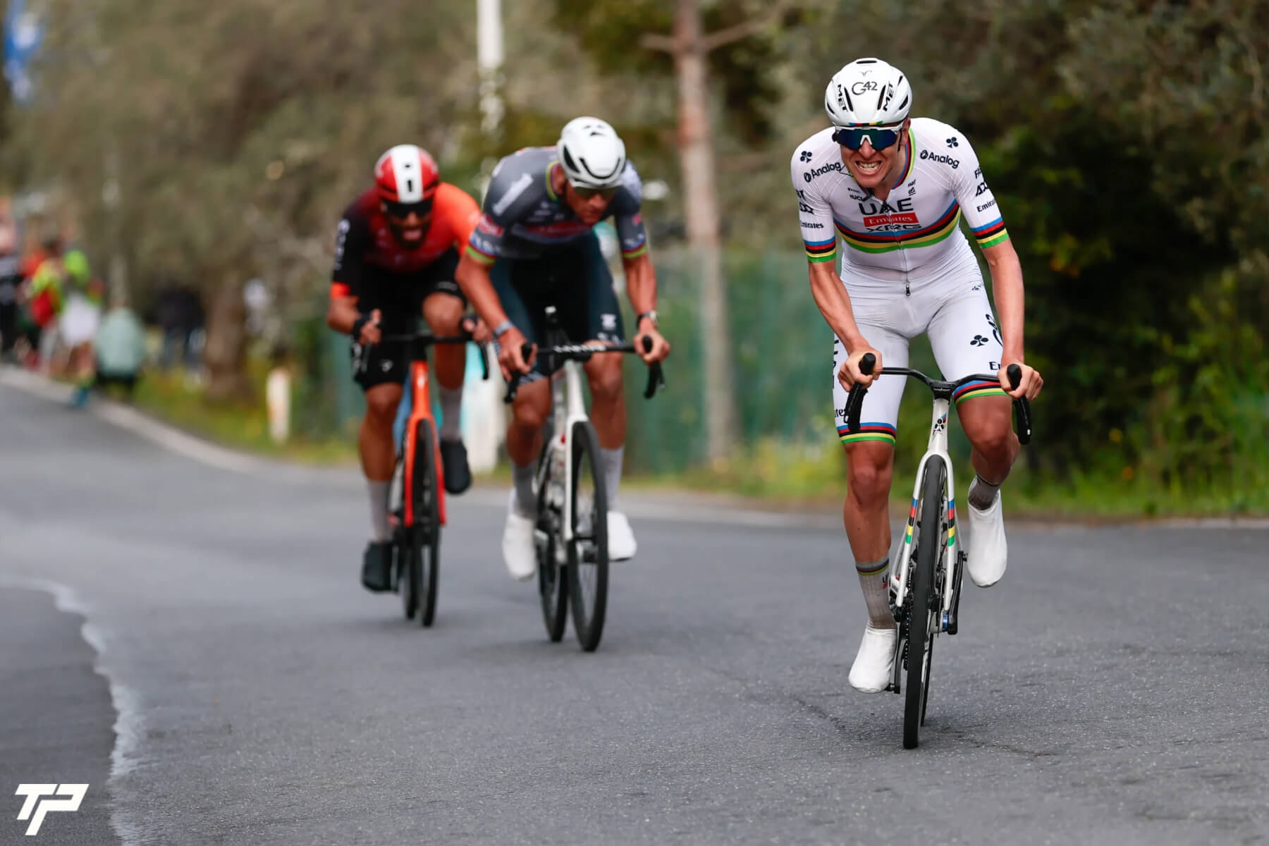 Milano Sanremo 2025: Riding Through Legend and Glory